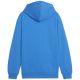 2. Puma Team Goal Casuals Hoddy Jr Sweatshirt 658619 02