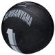 2. Wilson NBA Player Icon Victor Wembanyama Miniball WZ3017701XB