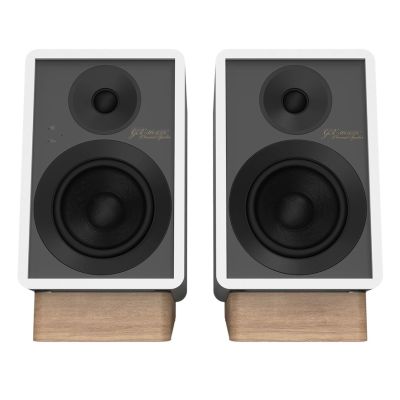 4. ONKYO GX-30ARC 2-Wege-Lautsprecher, Grau/Weiß, kabelgebunden und kabellos, 50 W