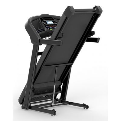 2. HORIZON FITNESS T202-26 Elektrisches Laufband