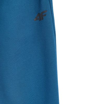 13. Herrenhose 4F CAS M1140 seegrün 4FWMM00TTROM1140 46S