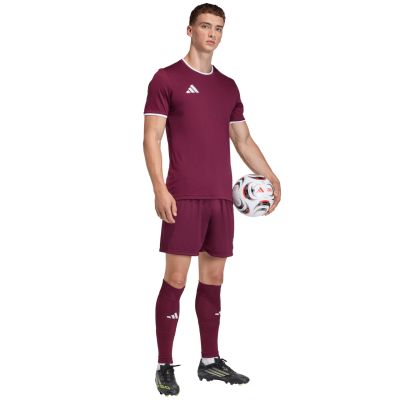 8. Herren-T-Shirt adidas Entrada 26 Jersey bordeaux JZ2507