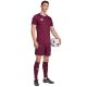 8. Herren-T-Shirt adidas Entrada 26 Jersey bordeaux JZ2507