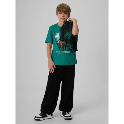 4. Normales bedrucktes Jungen-T-Shirt 4F 4FJKAW26TTSHM4456-46S