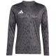 8. adidas Team Icon 25 Trikot Langarm M JH3334