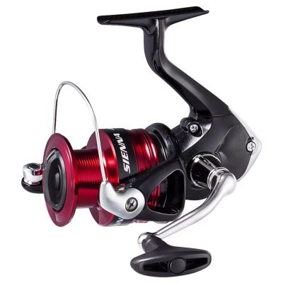 Shimano Sienna FG 4000 Rolle