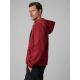 3. Herren-Kapuzenpullover, regulär, Größe 4F 4FRSS26TSWSM2975-20S