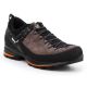 6. Salewa MS MTN Trainer 2 M Schuhe 61371-7512