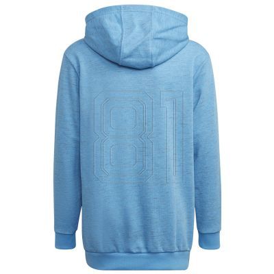 2. Adidas Badge of Sport Hoodie Jr HN8470 Sweatshirt