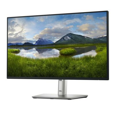 2. DELL LED-Monitor 24" P2425HE