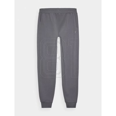 6. Jogginghose 4F M 4FWMM00TTROM0943-25S