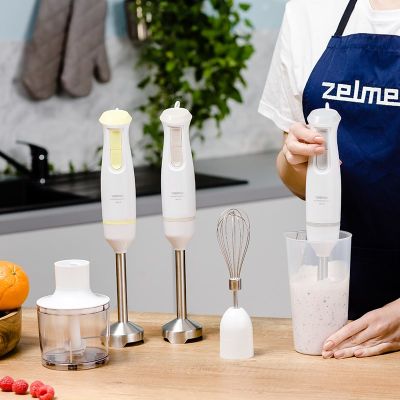 10. Pulsar ZHB4562L Stabmixer Zelmer Limette