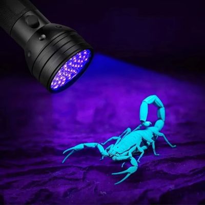 7. Wozinsky WLT-51L IP65 UV-Taschenlampe zur Spurensuche – Schwarz
