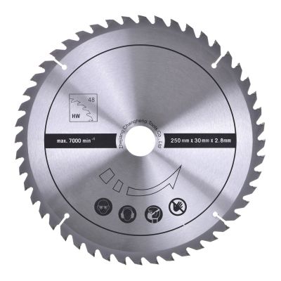 50. Scheppach HS100S Tischkreissäge 2,0 kW, 250 mm Sägeblatt, 2 Sägeblätter im Lieferumfang enthalten