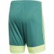 5. adidas M Tastigo 19 Shorts DP3251