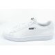 3. Puma Smash v2 W 365213 02 sports shoes