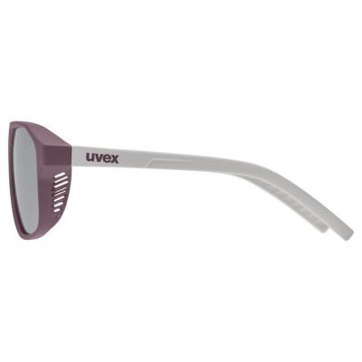 2. Uvex Cosmic Unisex Vollformat Silber