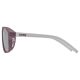 2. Uvex Cosmic Unisex Vollformat Silber
