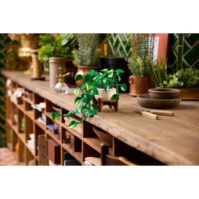 7. LEGO Botanische Kollektion 11512 – Hängendes Gold-Epipremnum
