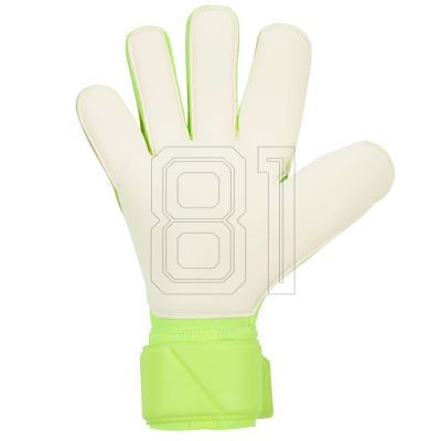 3. Nike Vapor Grip3 Gloves HQ0304-702