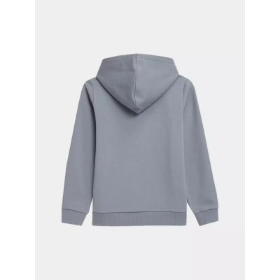 2. 4F Jr Sweatshirt 4FJSS23TSWSM219-34S