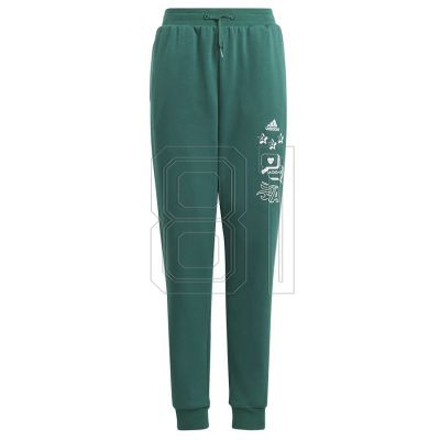 6. adidas BLUV Q3 Pant Jr IA1553