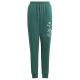 6. adidas BLUV Q3 Pant Jr IA1553