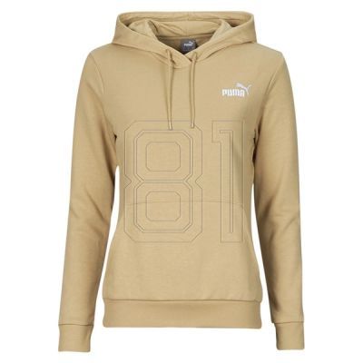 Puma Ess+ Embroidery Hoodie W 848332 84