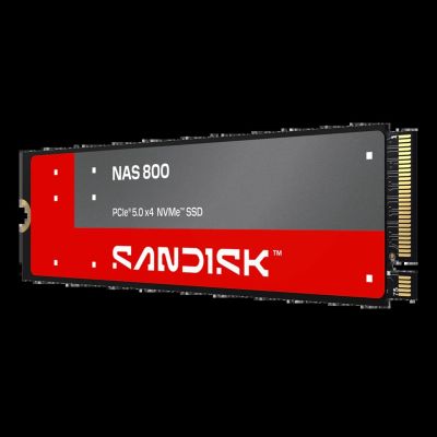 2. Sandisk SSD 960 GB NAS 800 NVMe™ SDSNP2960GAN
