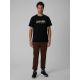 4. Herren-T-Shirt mit Aufdruck, regulär, Größe 4F 4FRSS26TTSHM4227-20S