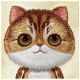 7. Nimmy Big Eyed Pet 2.0 Katzen-Schutzhülle für iPhone 16 Pro Max, Grün
