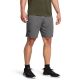 2. UNDER ARMOUR UA Vanish Woven Shorts Grau (1370382-025)