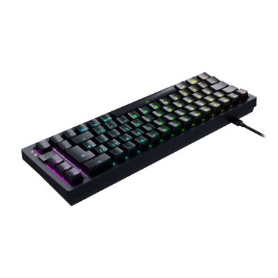 2. CHERRY K5V2 Compact Gaming Tastatur USB QWERTZ Deutsch schwarz