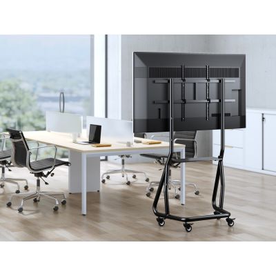 9. TV-Trolley-Halterung 152,40 cm (60")-105"/100 kg