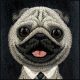 8. Nimmy Big Eyed Pet 2.0 Hunde-Hülle für iPhone 17 - Schwarz