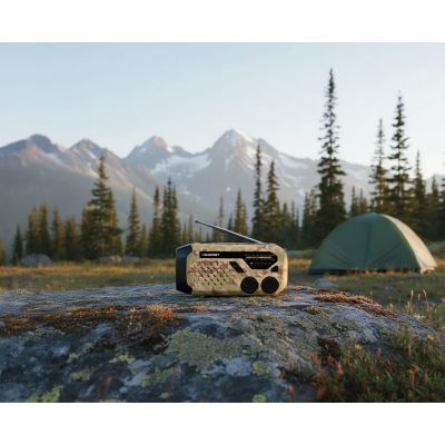 3. BLAUPUNKT ER10DC Radiowecker, Wüstentarn