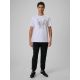 4. Herren-Fan-T-Shirt 4F 4FRSS26TTSHM4438-10S