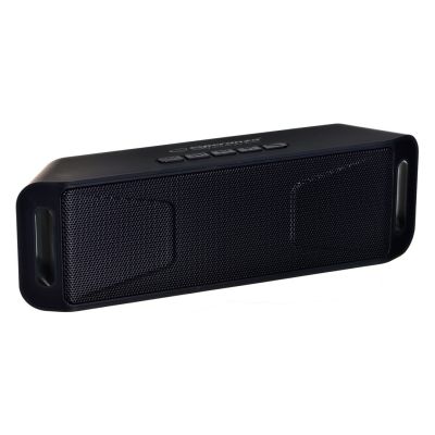 6. Esperanza FOLK EP126KK Bluetooth-Lautsprecher (Schwarz)
