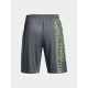 2. Under Armour M 1376943-012 Shorts