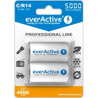 everActive EVHRL14-5000 Akku (5000mAh ; Ni-MH)