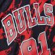 3. Mitchell & Ness Marble NBA Swingman Dennis Rodman Chicago Bulls Trikot
