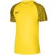 3. Nike DF Academy Jsy SS M T-shirt DH8031 719