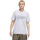 adidas Varsity Tailsweep Grafik Herren-T-Shirt Grau KS2179