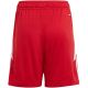 3. adidas Tiro 24 Jr IR9367 Shorts