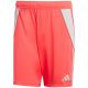 Herren adidas Tiro 24 Shorts rot JI6091