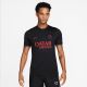 Nike PSG Strike II T-Shirt 2279-010