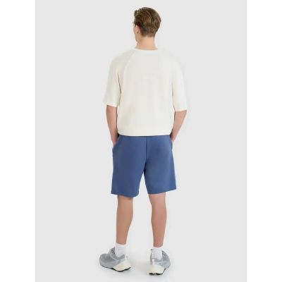 4. Shorts 4F M 4FWMM00TSHOM543-32S