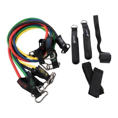 2. Expander-Set RESISTANT
