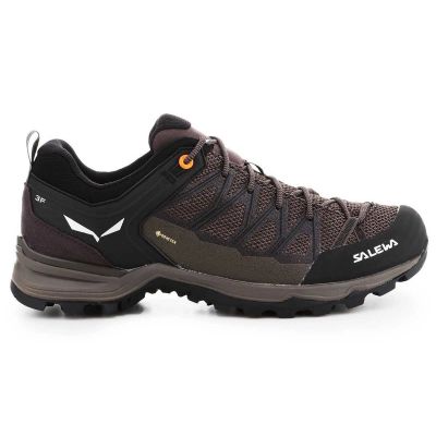 7. Salewa Mtn Trainer Lite GTX M 61361-7512 Trekkingschuhe