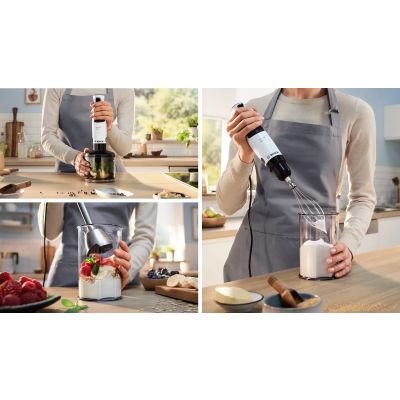 6. BOSCH MSM 4W221 Stabmixer